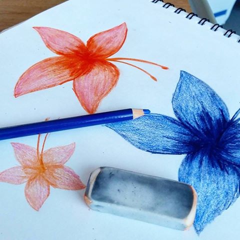 15135738_10211464911205207_2401673755442980682_n