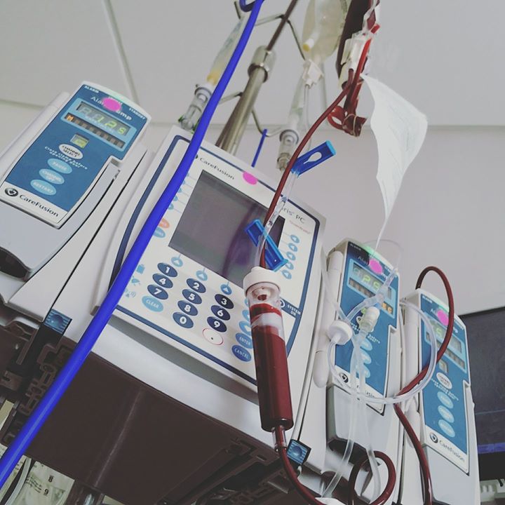 16486952_381498438875660_4821322050945224090_o