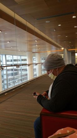 16991819_391836147841889_210909471154883614_o