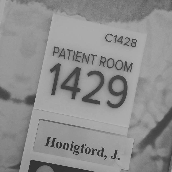 17426411_10212089841418474_7464372936310599407_n